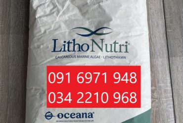 Mua bán khoáng tổng hợp cho tôm nhanh lột xác LithoNutri Brazil giá rẻ