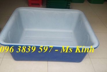 tank nhựa 2 lớp, thùng nhựa nuôi cá, trồng cây chắc chắn