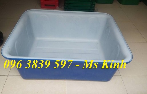 tank nhựa 2 lớp, thùng nhựa nuôi cá, trồng cây chắc chắn