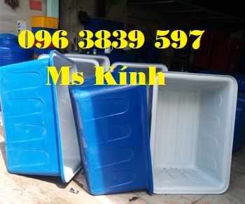 tank nhựa 2 lớp, thùng nhựa nuôi cá, trồng cây chắc chắn