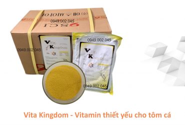 Vita Kingdom – Vitamin tổng hợp tăng đề kháng tôm cá