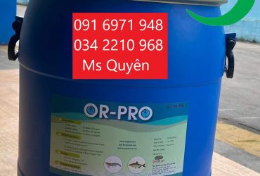 Mua bán sỉ men đường ruột cho tôm OR PRO Ấn Độ