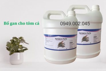 Herbaliv Forte – Nguyên liệu thảo dược bổ gan cho tôm cá