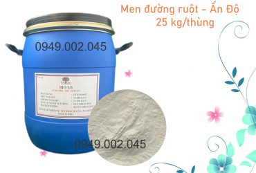 Bio LB – Vi sinh đường ruột Lactobacillus Acidophilus cho thủy sản